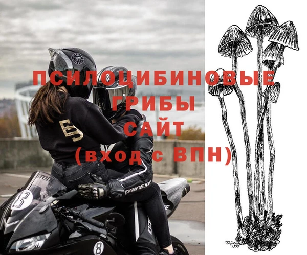 дживик Алексеевка