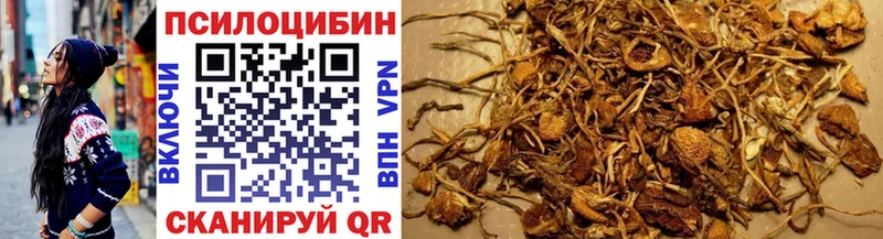 закладки  Карпинск  Галлюциногенные грибы прущие грибы 
